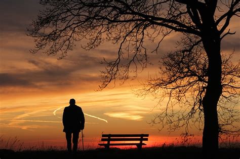 personas solitarias sin amigos|La psicología de la soledad: Cómo afecta a las personas sin amigos